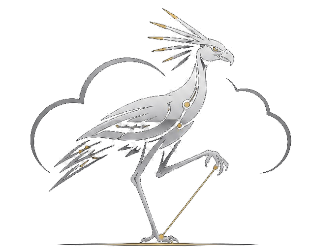 ATT-Clouds Secretary Bird